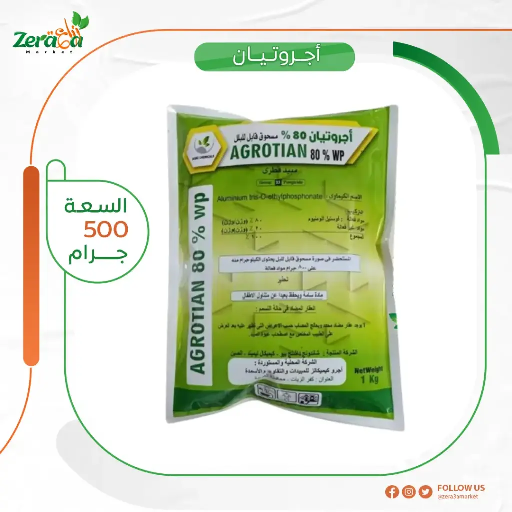 [اجروتيان] تذكرة 500 جم