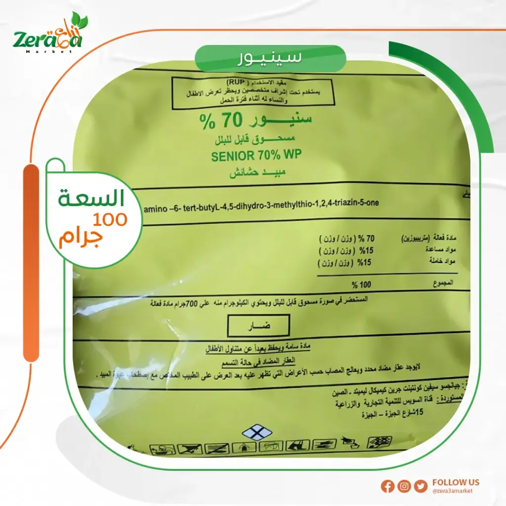 سنيور تذكرة 100 ملي