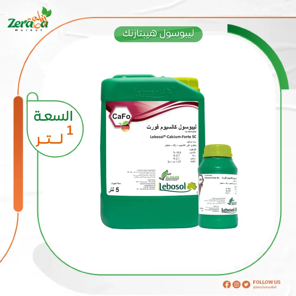 ليبوسول هينازنك