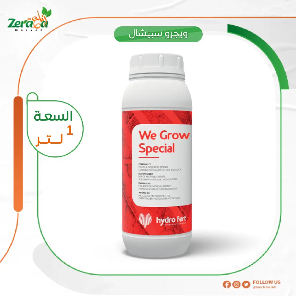 وى اجرواسبشيال 