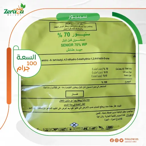 [HC00026] [سنيور] تذكرة 100 ملي