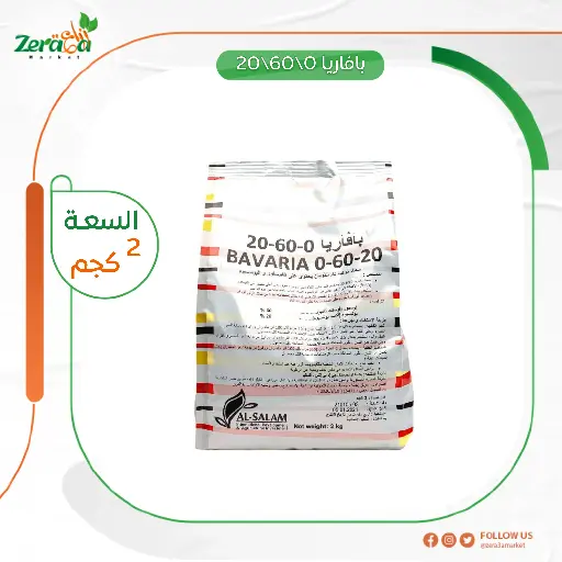 [FS00062] بافاريا 0\60\20