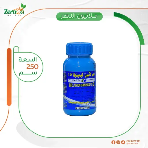 [PP00055] نصر لاثيون 250 سم